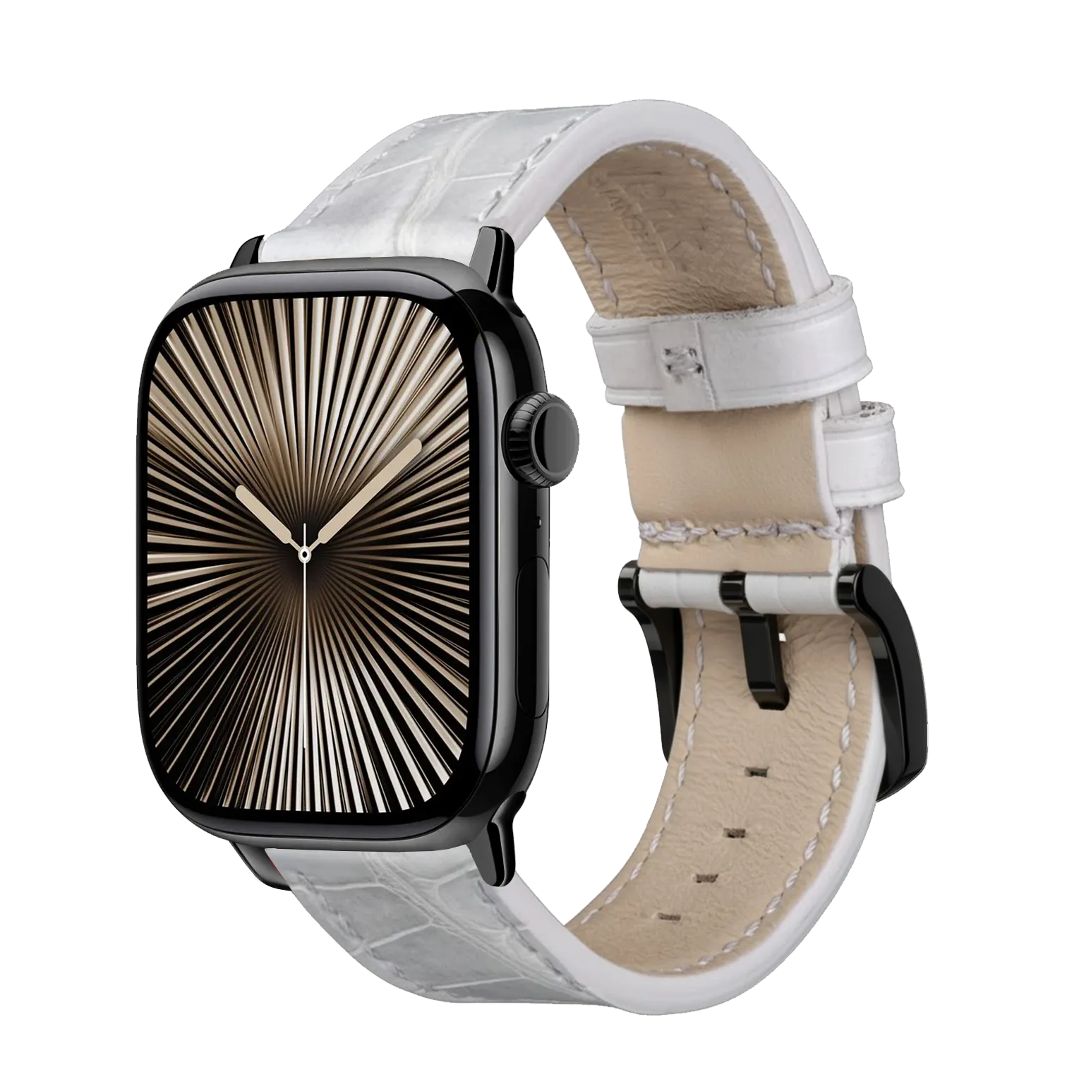 Himalaya / 42mm / Schwarz Poliert