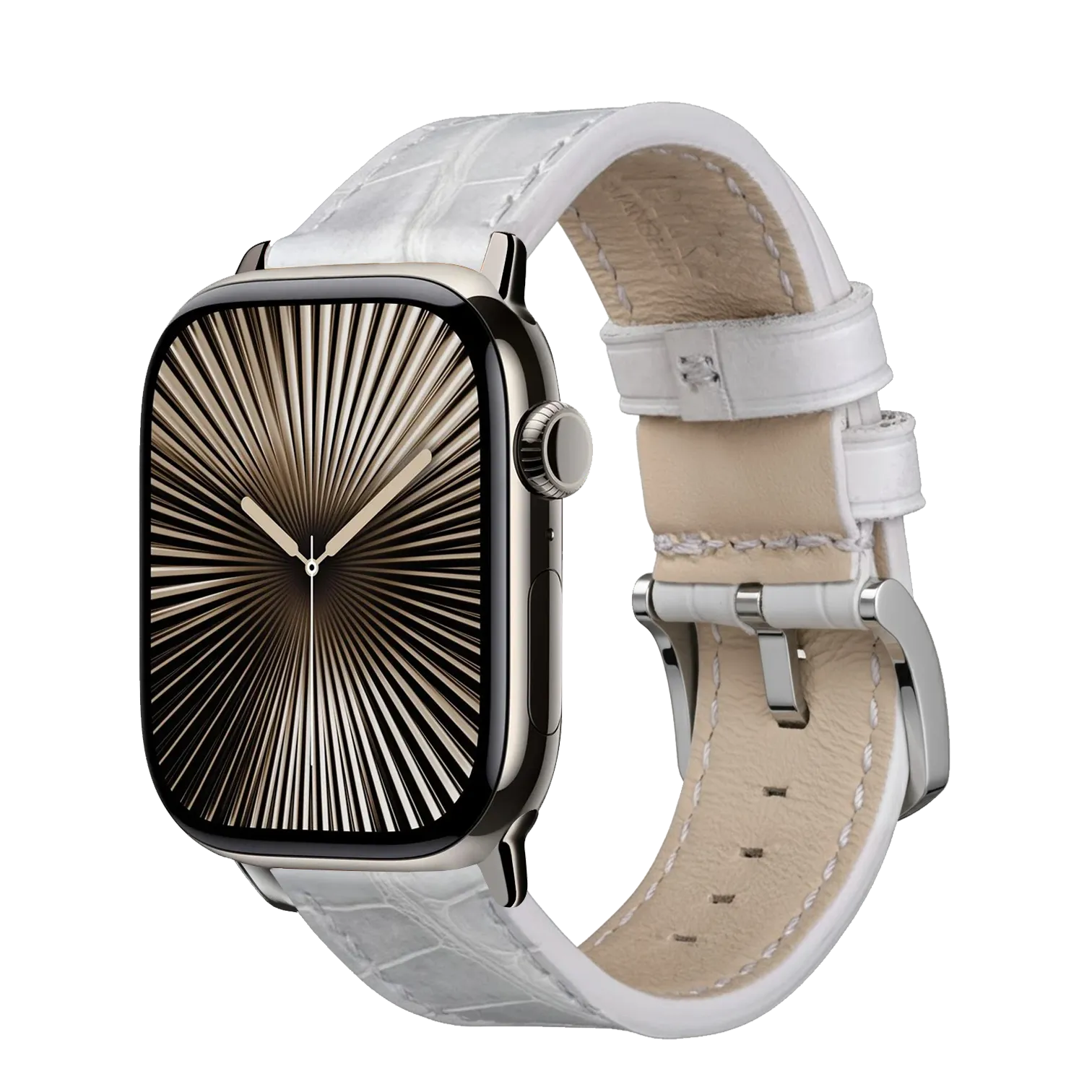 Himalaya / 42mm / Silber Poliert