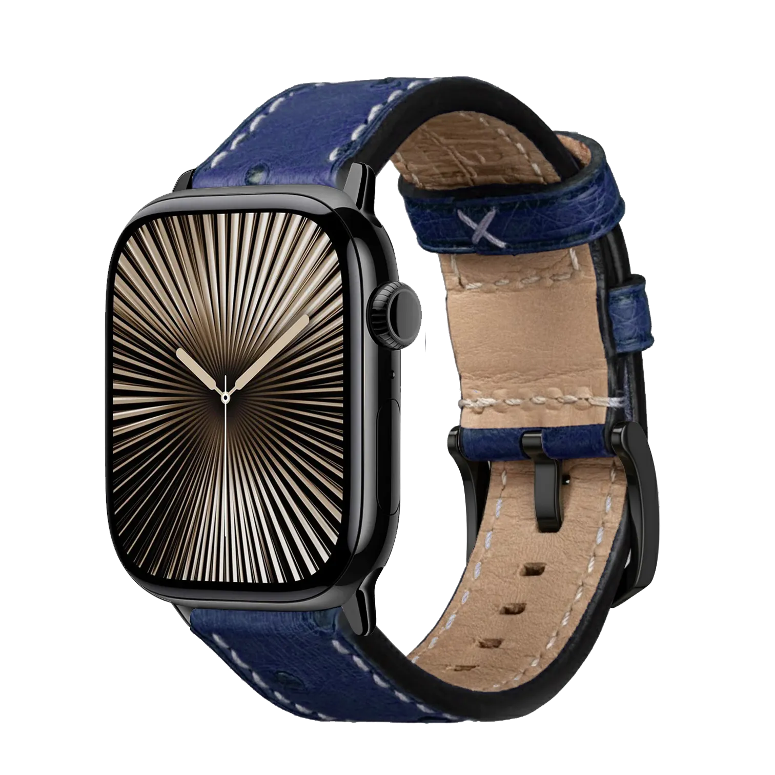 Blau / 42mm / Schwarz Poliert