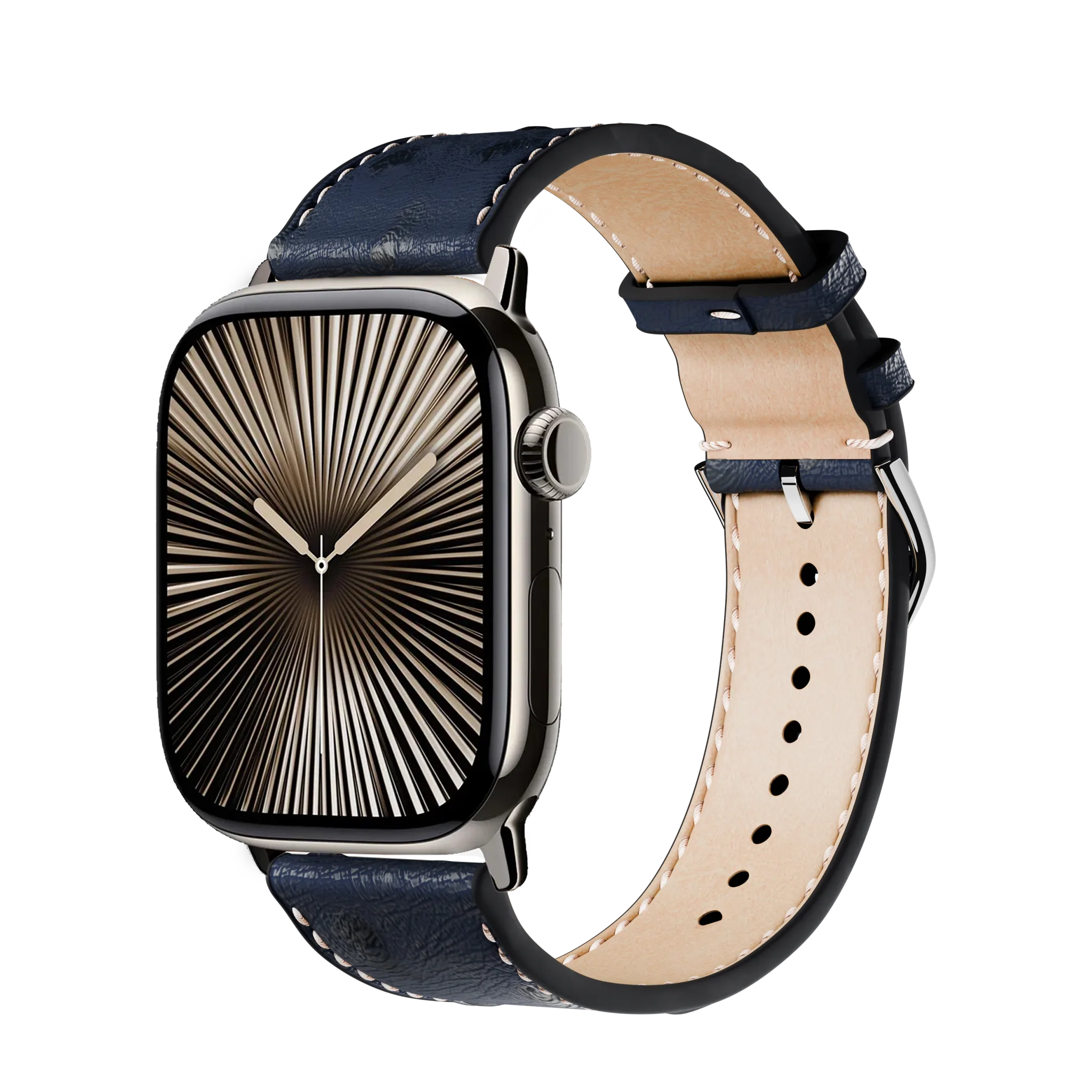 Blau / 46mm / Titan Natur