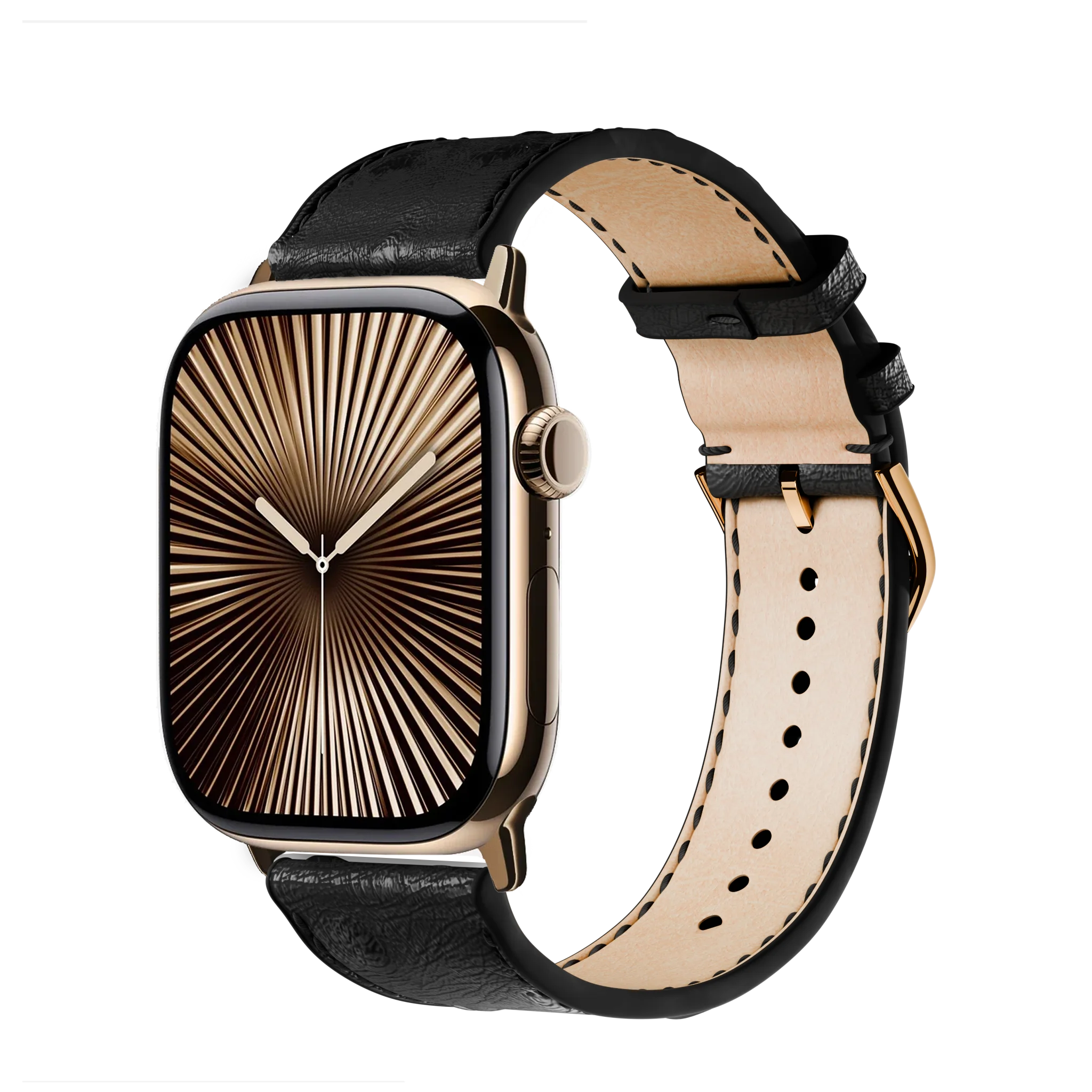 Schwarz / 46mm / Titan Gold