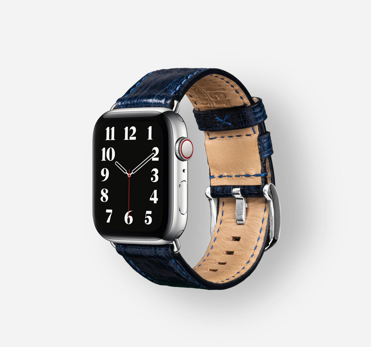 Tegu-Blue-Stainless-Steel-Silver